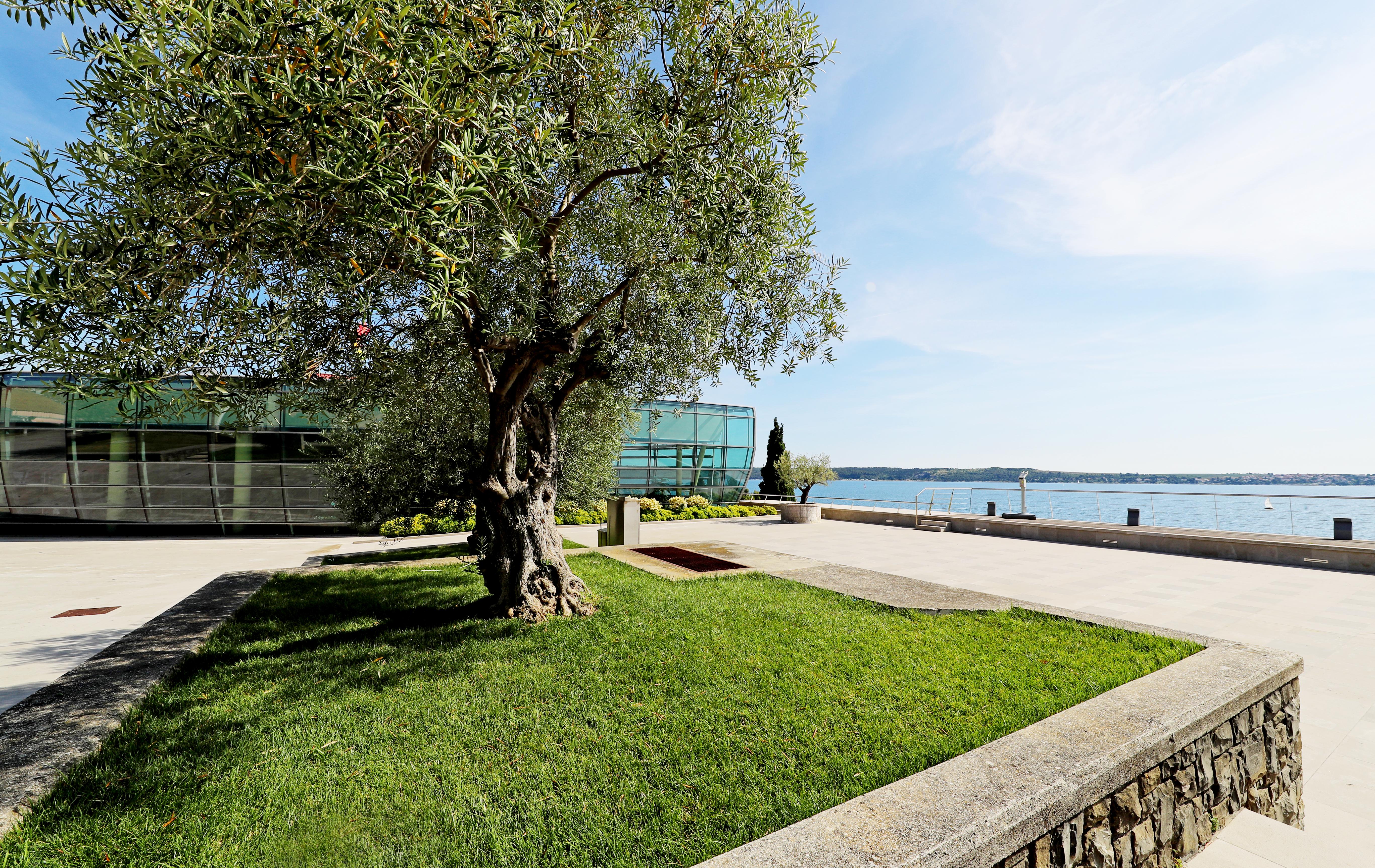 Hotel Histrion Portorose Esterno foto